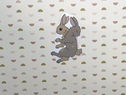 2 Headed bunny