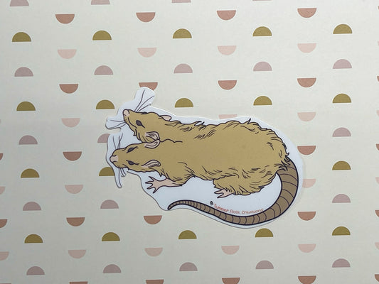 2 head Rat
