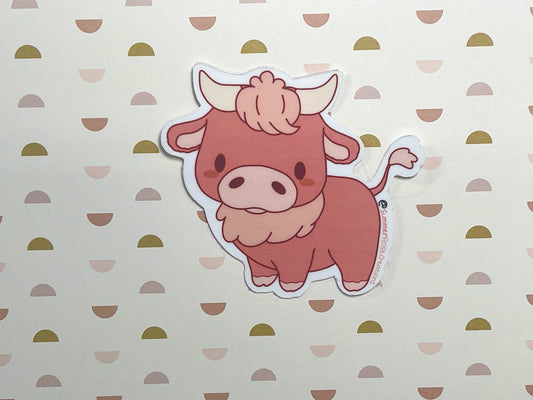 Highland Cow