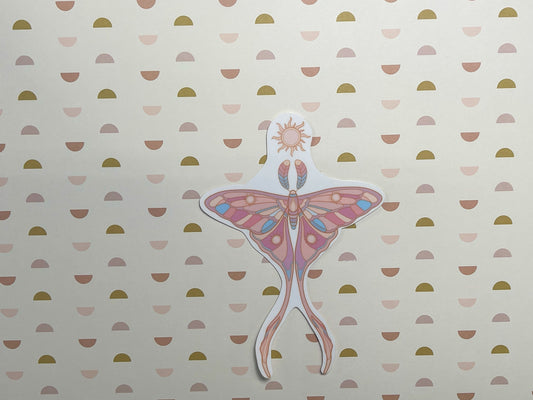 Sun Moth